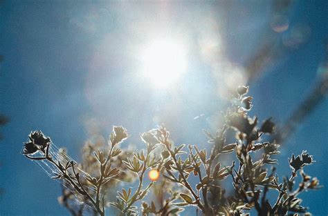 Hur tidigt är det normalt att ha sex efter förlossningen