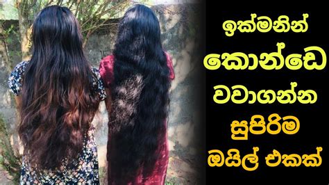 ඉක්මනින් කොන්ඩෙ වවාගන්න සුපිරිම ඔයිල් එකක් Natural Homemade Hair Oil For Fast Hair Growth