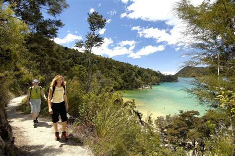 Parc National D Abel Tasman Croisi Re Comment E Et Visite Pied