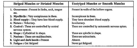 Distinguish Between The Following Smooth Muscle And Striated Muscl