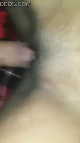 Dasi Saxi Videos American Amateur Amateur Porn Xhamster