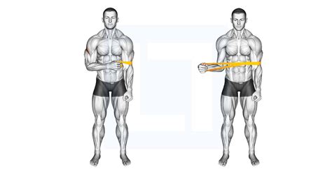 Resistance Band External Rotation Guide Benefits And Form