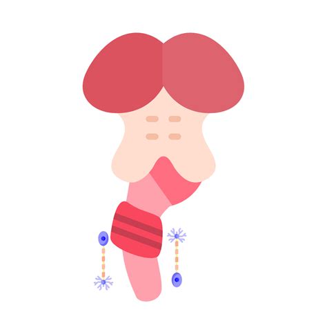 brain stem brain neuroplasticity seminars