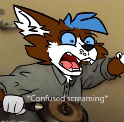 Confused Furry Screaming Blank Template Imgflip