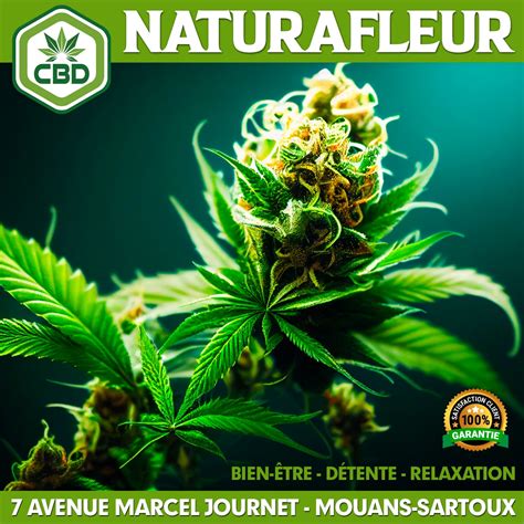 Le Cbd Caen D Couvrez Les Bienfaits De Cette Substance Naturelle