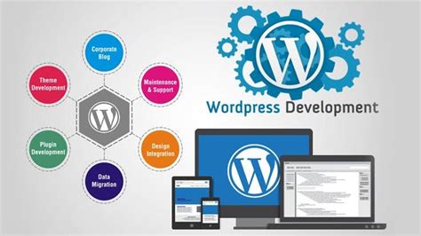 Best WordPress Development Companies In Sydney 2024 New Guide