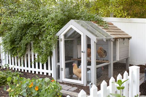 12 Chicken Coop Ideas for Your Backyard Hens