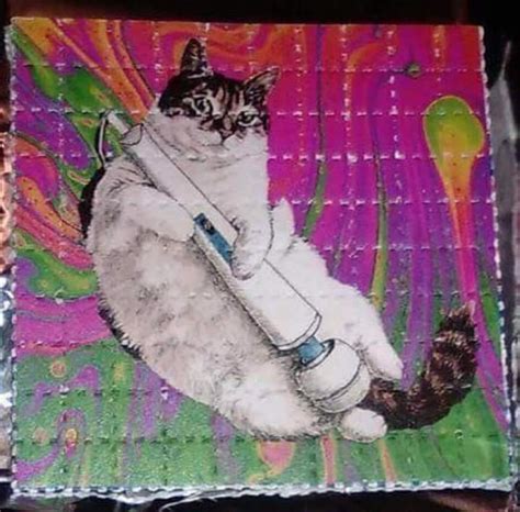 Thanks I Hate Pussy Hitachi R TIHI