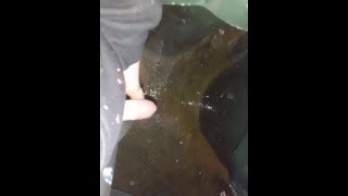 Free Trans Guy Peeing Porn Videos From Thumbzilla