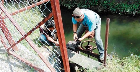 Denuncian grave contaminación del Río Cuautla Noticias Diario de