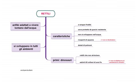 rettili aiutoperstudiare