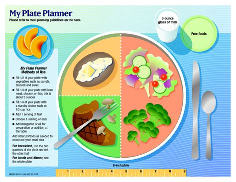 Portion Size Guide Plate Yoiki Guide