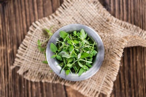 Premium Photo Old Wooden Table With Fresh Thyme