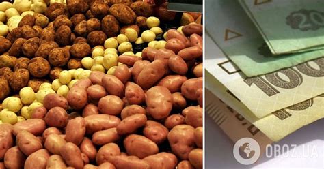 Сколько стоит картошка в оккупированном Донецке и Украине | OBOZ.UA