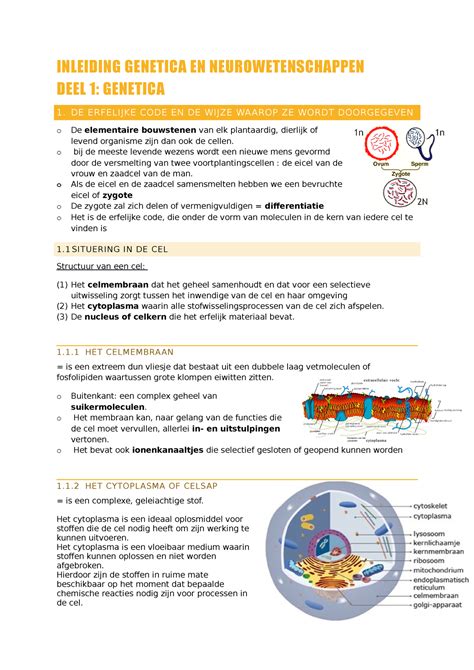 Samenvatting Genetica 2020 Inleiding Genetica En Neurowetenschappen