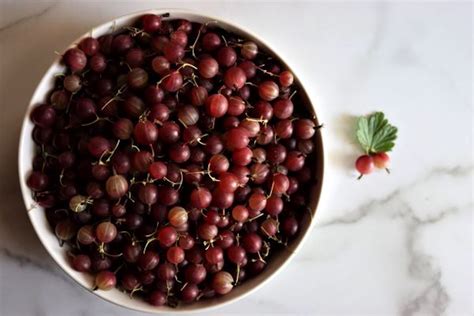 Gooseberry Jelly Creative Canning