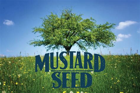 Mustard Seed