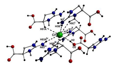 A chloride counter anion (Cl1) H-bonding to six individual 2 . HCl ...