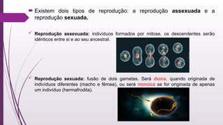 8º ANO - REPRODUÇÃO ASSEXUADA E SEXUADA.pptx