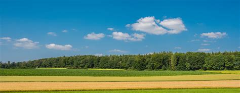 Kornehre Bilder – Durchsuchen 1,840 Archivfotos, Vektorgrafiken und ...