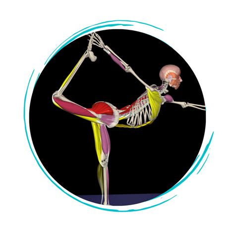 3D Anatomy App: Watch 2000+ unique videos of all muscles in 3D