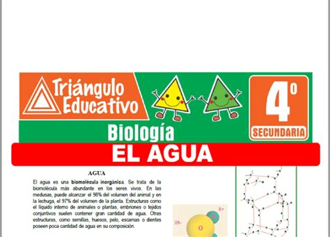 Biolog A Para Cuarto De Secundaria Fichas Gratis