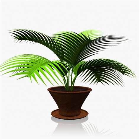 Plant Model Free 3d Models Obj Obj Download Free3d