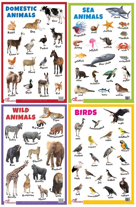 wild animal charts 5