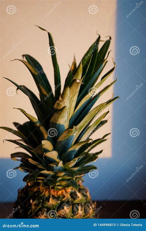 The Ripe Pineapple Fruit With Green Leaves Stock Image Image Of Green