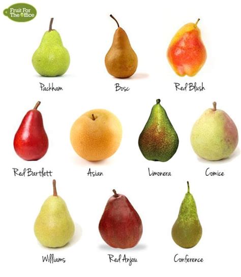Pear Varieties