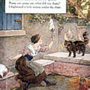 Richardson Pussy Cat Photograph By Granger Fine Art America