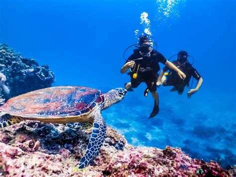 Scuba Diving In Thailand S Phi Phi Island No Destinations