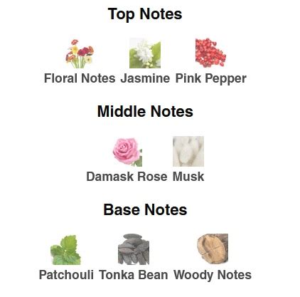 دکانت عطر نارسیسو رودریگز فور هر ماسک نود Narciso Rodriguez For Her Musc Nude