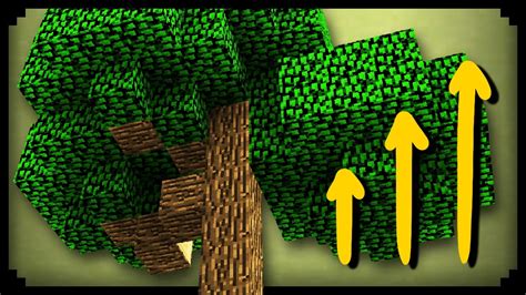 Minecraft How To Grow Big Trees Youtube