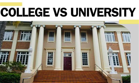 college  university understanding  differences  making