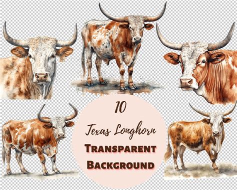 Texas Longhorn Clipart Bundle – Transparent PNG Graphics (digital