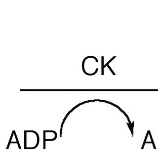 The reaction catalyzed by carbamate kinase. | Download Scientific Diagram