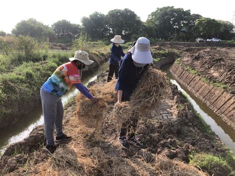 “โคก หนอง นา พช” ป่าโมก รวมใจเอามื้อสามัคคี สำนักงานพัฒนาชุมชนอำเภอ