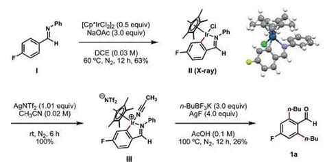 铱催化（杂）芳香醛的邻位c H键烷基化反应 每日头条