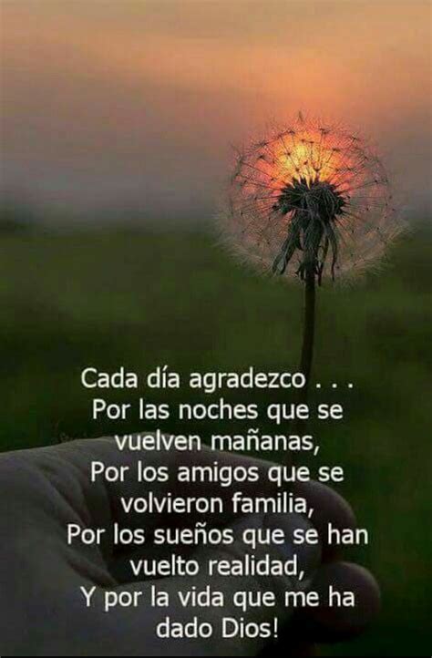 Frases Con Oraciones Cortas De Agradecimiento Gratitud NBKomputer