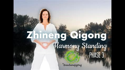 Zhineng Qigong Harmony Standing Phase 3 Three Centers Merge