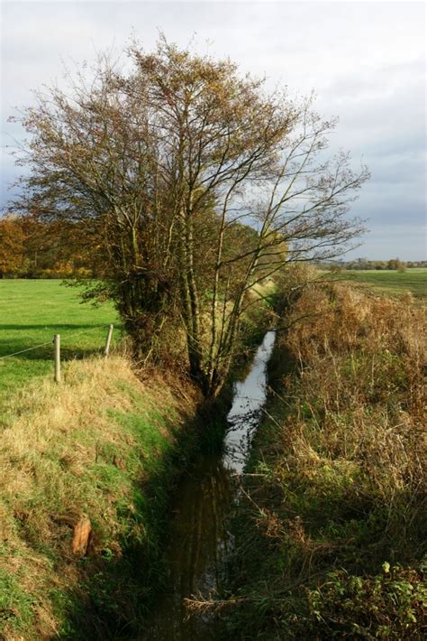 Rodway Explore The Weald Moors