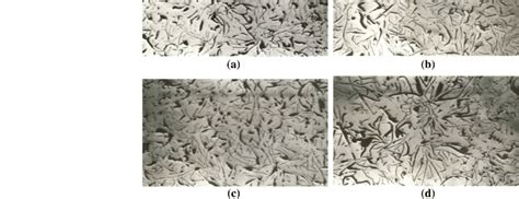 Effect Of Lead Additions On The Microstructure Of Gray Cast Iron A Base