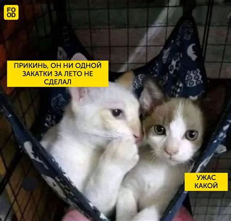 С изюмом • by Food.ru | ВКонтакте