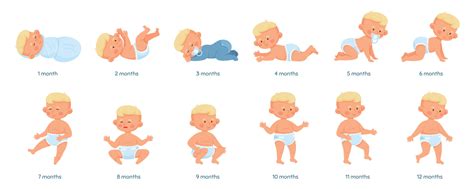 baby growth stages development process  newborn  toddler baby