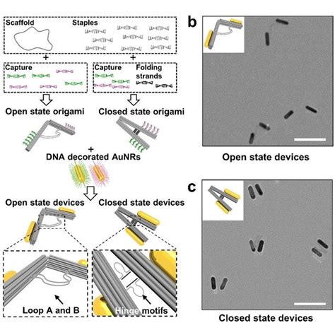 Construction Of Plasmonic Nanodevices Based On Aunr Dna Origami