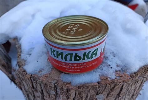 Как открыть консервную банку без открывашки и ножа - Сделай самоделку