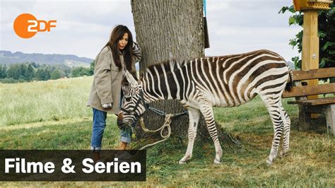 Frühling Ein Zebra im Gepäck Filme Serien ZDF YouTube