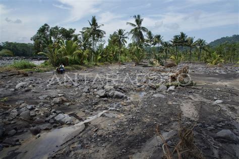 Puluhan Hektar Lahan Pertanian Terdampak Banjir Gunung Semeru Antara Foto