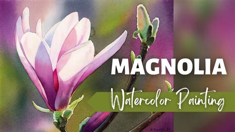 Watercolor Magnolia Painting A Stunning Flower With A Smooth Dark